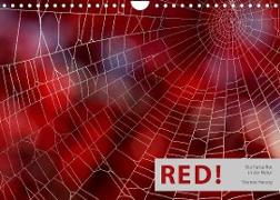 RED! (Wandkalender 2022 DIN A4 quer)