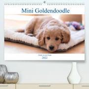 Mini Goldendoodle - Glück ist ein Hund (Premium, hochwertiger DIN A2 Wandkalender 2022, Kunstdruck in Hochglanz)