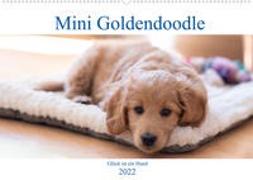 Mini Goldendoodle - Glück ist ein Hund (Wandkalender 2022 DIN A2 quer)