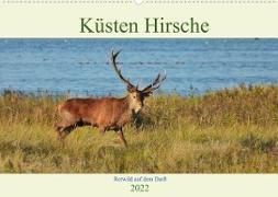 Küsten Hirsche - Rotwild auf dem Darß (Wandkalender 2022 DIN A2 quer)