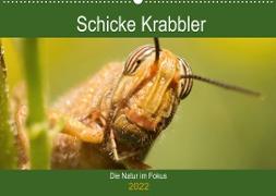 Schicke Krabbler (Wandkalender 2022 DIN A2 quer)