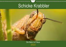 Schicke Krabbler (Wandkalender 2022 DIN A4 quer)