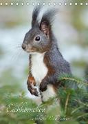 Eichhörnchen - zauberhafte Waldbewohner (Tischkalender 2022 DIN A5 hoch)