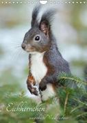 Eichhörnchen - zauberhafte Waldbewohner (Wandkalender 2022 DIN A4 hoch)