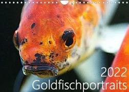 Goldfischportraits (Wandkalender 2022 DIN A4 quer)