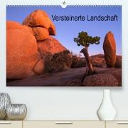 Versteinerte Landschaft (Premium, hochwertiger DIN A2 Wandkalender 2022, Kunstdruck in Hochglanz)