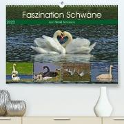 Faszination Schwäne (Premium, hochwertiger DIN A2 Wandkalender 2022, Kunstdruck in Hochglanz)