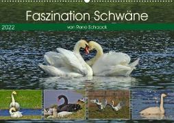Faszination Schwäne (Wandkalender 2022 DIN A2 quer)