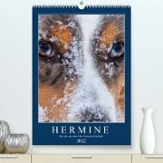 Hermine - Ein Jahr mit einem Mini Australian Shepherd (Premium, hochwertiger DIN A2 Wandkalender 2022, Kunstdruck in Hochglanz)
