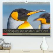 Königspinguine an der Bluff Cove (Premium, hochwertiger DIN A2 Wandkalender 2022, Kunstdruck in Hochglanz)