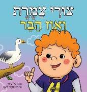 &#1510,&#1493,&#1512,&#1497, &#1510,&#1502,&#1512,&#1514, &#1493,&#1488,&#1493,&#1493,&#1494, &#1492,&#1489,&#1512