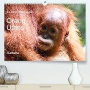 Die letzten freilebenden Orang Utans (Premium, hochwertiger DIN A2 Wandkalender 2022, Kunstdruck in Hochglanz)