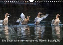 Die Entenballerina - freilebende Tiere in Bewegung (Wandkalender 2022 DIN A4 quer)