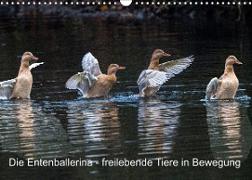 Die Entenballerina - freilebende Tiere in Bewegung (Wandkalender 2022 DIN A3 quer)