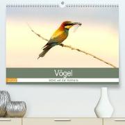 Vögel Stars vor der Kamera (Premium, hochwertiger DIN A2 Wandkalender 2022, Kunstdruck in Hochglanz)