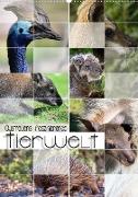 Australiens faszinierende Tierwelt (Premium, hochwertiger DIN A2 Wandkalender 2022, Kunstdruck in Hochglanz)