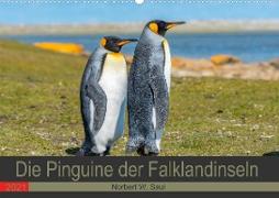 Die Pinguine der Falklandinseln (Premium, hochwertiger DIN A2 Wandkalender 2021, Kunstdruck in Hochglanz)