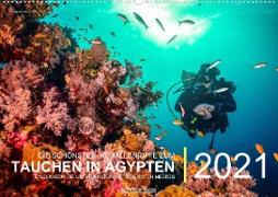 Die schönsten Korallenriffe zum Tauchen in Ägypten (Wandkalender immerwährend DIN A2 quer)