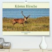 Küsten Hirsche - Rotwild auf dem Darß (Premium, hochwertiger DIN A2 Wandkalender 2021, Kunstdruck in Hochglanz)