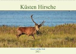 Küsten Hirsche - Rotwild auf dem Darß (Wandkalender 2021 DIN A2 quer)