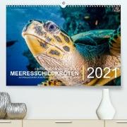 Einblicke in die Welt der Meeresschildkröten (Premium, hochwertiger DIN A2 Wandkalender 2022, Kunstdruck in Hochglanz)