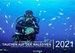 Die schönsten Korallenriffe zum Tauchen auf den Malediven (Wandkalender immerwährend DIN A2 quer)