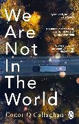 We Are Not in the World