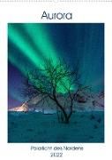 Aurora - Polarlicht des Nordens (Wandkalender 2022 DIN A2 hoch)