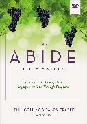 The Abide Bible Course Video Study
