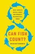 Can Fish Count?: What Animals Reveal about Our Uniquely Mathematical Minds