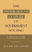 The Underground Culture of Government Housing: An Introspective Look into a Fascinating Subculture