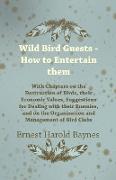 Wild Bird Guests - How to Entertain them - With Chapters on the Destruction of Birds, their Economic Values, Suggestions for Dealing with their Enemies, and on the Organization and Management of Bird Clubs