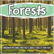 Forests: Discover Pictures and Facts About Forests For Kids!
