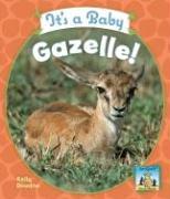 It's a Baby Gazelle!