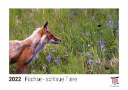 Füchse - schlaue Tiere 2022 - Timokrates Kalender, Tischkalender, Bildkalender - DIN A5 (21 x 15 cm)