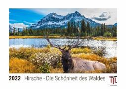 Hirsche - Die Schönheit des Waldes 2022 - Timokrates Kalender, Tischkalender, Bildkalender - DIN A5 (21 x 15 cm)