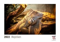 Reptilien 2022 - Timokrates Kalender, Tischkalender, Bildkalender - DIN A5 (21 x 15 cm)