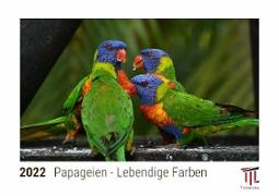 Papageien - Lebendige Farben 2022 - Timokrates Kalender, Tischkalender, Bildkalender - DIN A5 (21 x 15 cm)