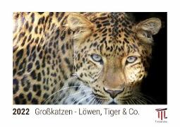 Großkatzen - Löwen, Tiger & Co. 2022 - Timokrates Kalender, Tischkalender, Bildkalender - DIN A5 (21 x 15 cm)