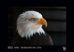 Adler - Beobachter der Lüfte 2022 - Black Edition - Timokrates Kalender, Wandkalender, Bildkalender - DIN A3 (42 x 30 cm)