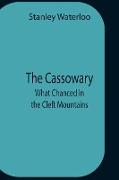 The Cassowary, What Chanced In The Cleft Mountains