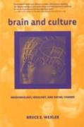 Brain and Culture: Neurobiology, Ideology, and Social Change