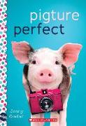 Pigture Perfect: A Wish Novel