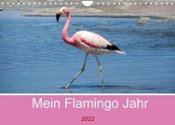 Mein Flamingo Jahr (Wandkalender 2022 DIN A4 quer)