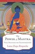 The Power of Mantra: Vital Practices for Transformation