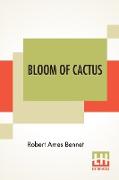 Bloom Of Cactus
