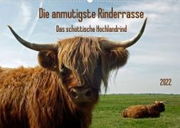 Die anmutigste Rinderrasse - Das schottische Hochlandrind (Wandkalender 2022 DIN A2 quer)