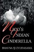 Nico's Indian Cinderella