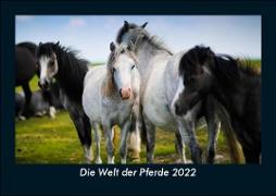 Die Welt der Pferde 2022 Fotokalender DIN A5