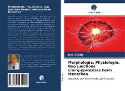 Morphologie, Physiologie, Gap Junctions Energieprozesse beim Menschen